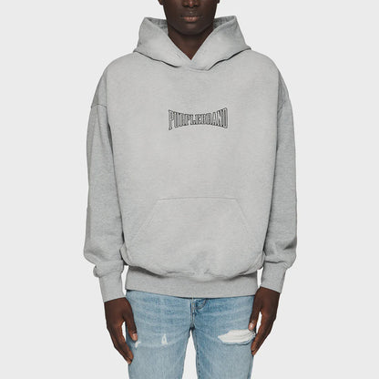 PURPLE Hoodie Distressed Logo